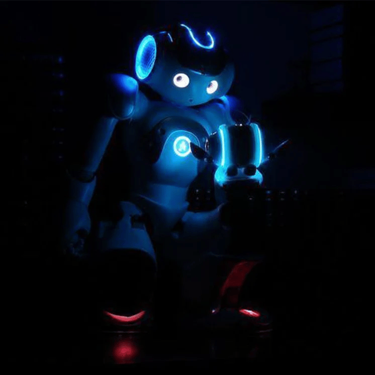 🎅Korai karácsonyi akció – 70% KEDVEZMÉNY🎁Gesztusérzékelő intelligens robot – INGYENES SZÁLLÍTÁS✈